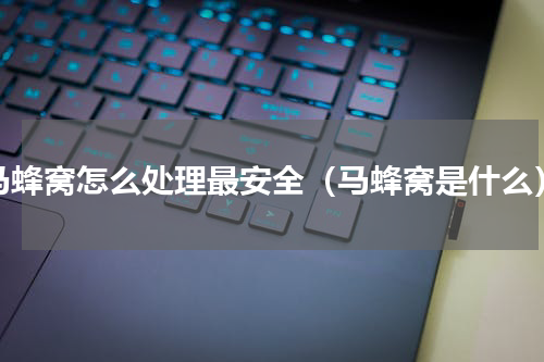 马蜂窝怎么处理最安全（马蜂窝是什么）