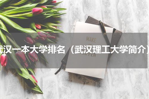 武汉一本大学排名（武汉理工大学简介）