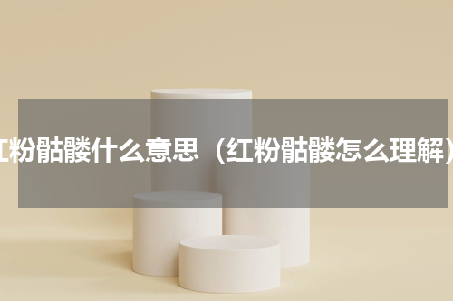 红粉骷髅什么意思（红粉骷髅怎么理解）