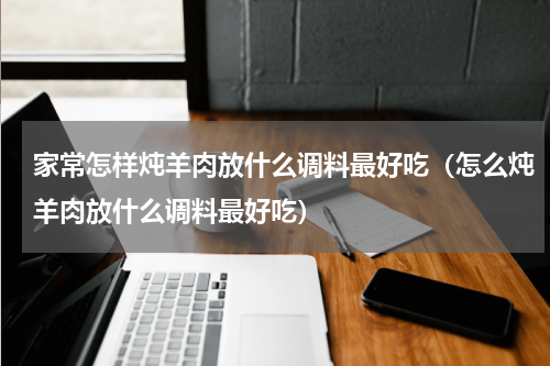 家常怎样炖羊肉放什么调料最好吃（怎么炖羊肉放什么调料最好吃）
