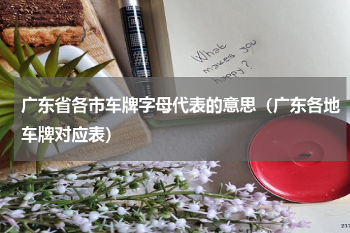 广东省各市车牌字母代表的意思（广东各地车牌对应表）