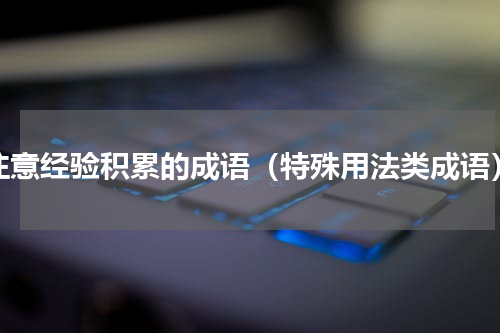 注意经验积累的成语（特殊用法类成语）