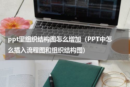 ppt里组织结构图怎么增加（PPT中怎么插入流程图和组织结构图）