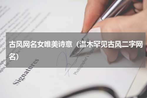 古风网名女唯美诗意（温木罕见古风二字网名）