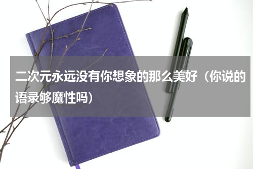二次元永远没有你想象的那么美好（你说的语录够魔性吗）