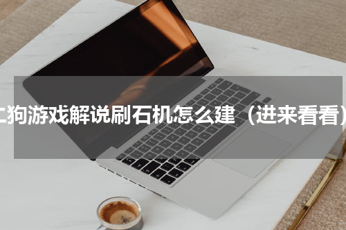 二狗游戏解说刷石机怎么建（进来看看）