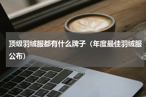 顶级羽绒服都有什么牌子（年度最佳羽绒服公布）
