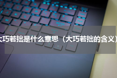 大巧若拙是什么意思（大巧若拙的含义）