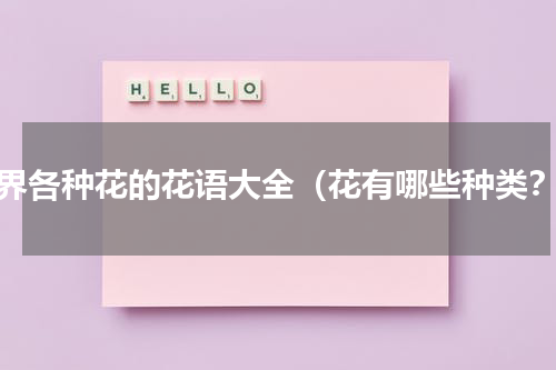 世界各种花的花语大全（花有哪些种类？）