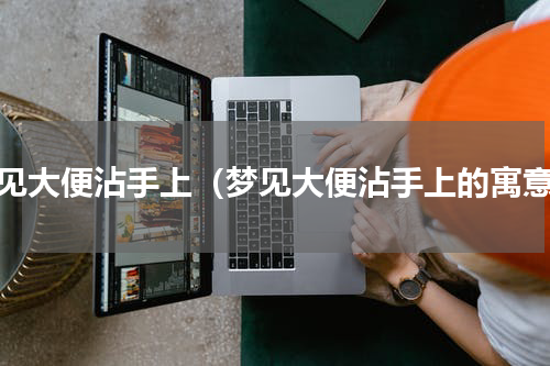 梦见大便沾手上（梦见大便沾手上的寓意）