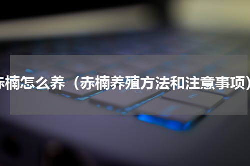 赤楠怎么养（赤楠养殖方法和注意事项）