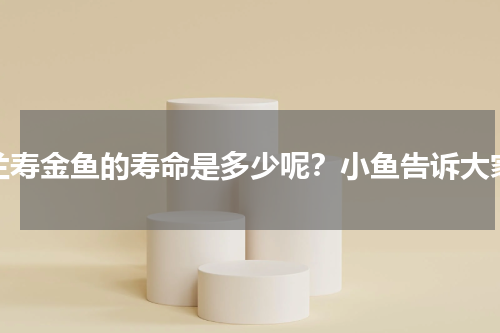兰寿金鱼的寿命是多少呢？小鱼告诉大家