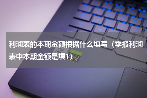 利润表的本期金额根据什么填写（季报利润表中本期金额是填1）