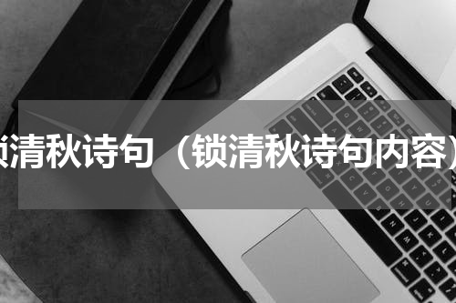 锁清秋诗句（锁清秋诗句内容）