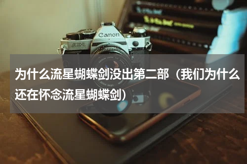 为什么流星蝴蝶剑没出第二部（我们为什么还在怀念流星蝴蝶剑）