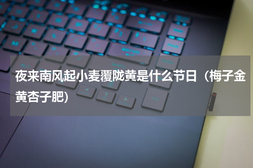 夜来南风起小麦覆陇黄是什么节日（梅子金黄杏子肥）