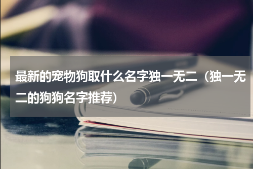 最新的宠物狗取什么名字独一无二（独一无二的狗狗名字推荐）