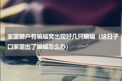 家里窗户有蝙蝠窝出现好几只蝙蝠（这日子口家里出了蝙蝠怎么办）