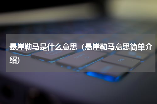 悬崖勒马是什么意思（悬崖勒马意思简单介绍）