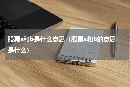股票s和b是什么意思（股票s和b的意思是什么）