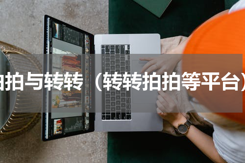 拍拍与转转（转转拍拍等平台）