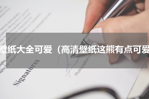 熊壁纸大全可爱（高清壁纸这熊有点可爱）