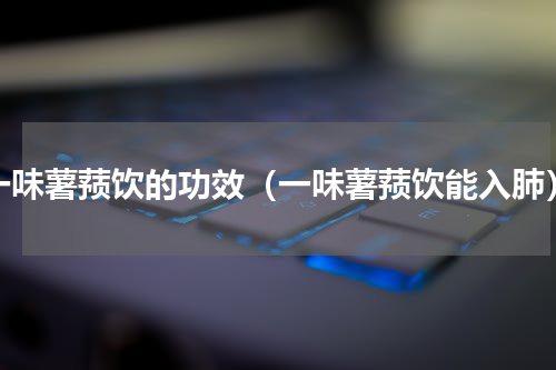 一味薯蓣饮的功效（一味薯蓣饮能入肺）