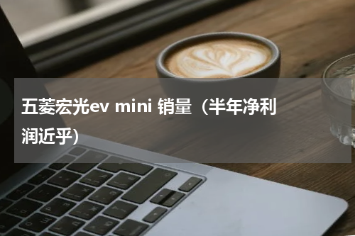 五菱宏光ev mini 销量（半年净利润近乎）