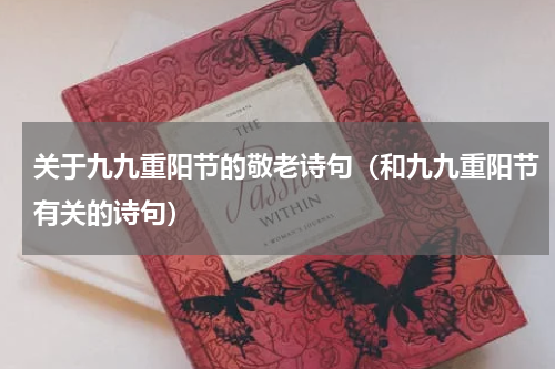 关于九九重阳节的敬老诗句（和九九重阳节有关的诗句）