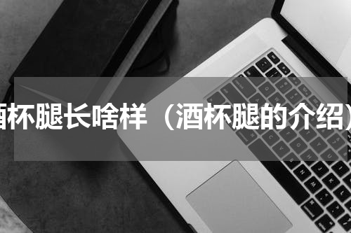 酒杯腿长啥样（酒杯腿的介绍）