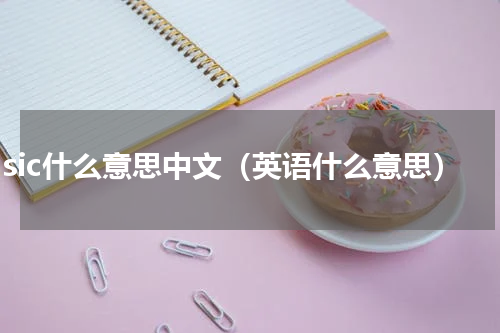 basic什么意思中文（英语什么意思）