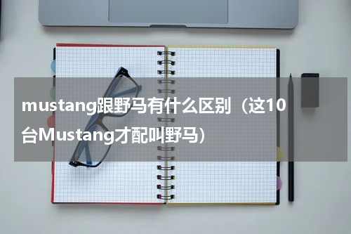 mustang跟野马有什么区别（这10台Mustang才配叫野马）