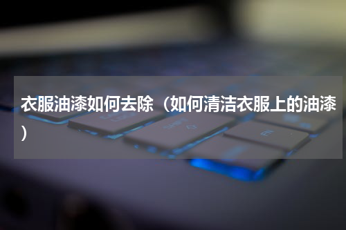 衣服油漆如何去除（如何清洁衣服上的油漆）