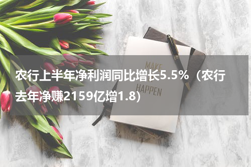 农行上半年净利润同比增长5.5%（农行去年净赚2159亿增1.8）