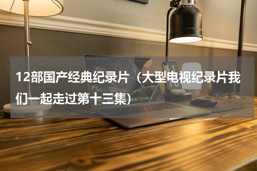 12部国产经典纪录片（大型电视纪录片我们一起走过第十三集）