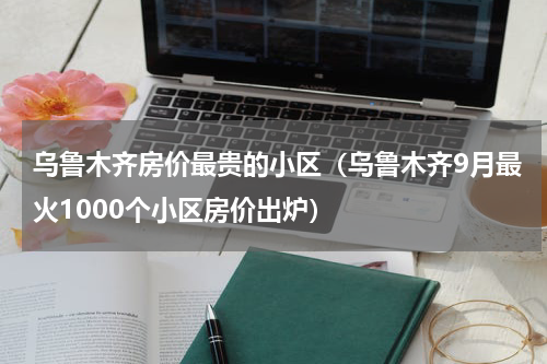 乌鲁木齐房价最贵的小区（乌鲁木齐9月最火1000个小区房价出炉）