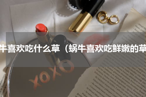 蜗牛喜欢吃什么草（蜗牛喜欢吃鲜嫩的草）