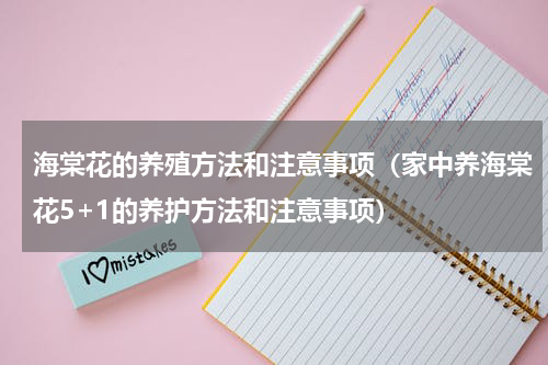 海棠花的养殖方法和注意事项（家中养海棠花5+1的养护方法和注意事项）