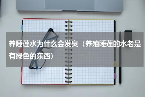 养睡莲水为什么会发臭（养殖睡莲的水老是有绿色的东西）