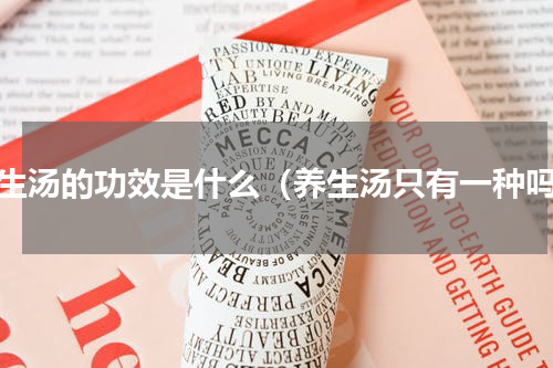 养生汤的功效是什么（养生汤只有一种吗）