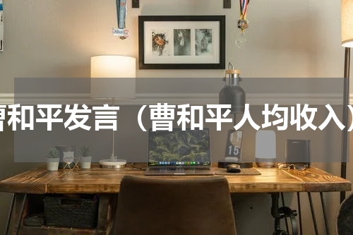 曹和平发言（曹和平人均收入）