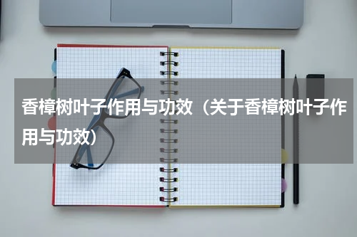 香樟树叶子作用与功效（关于香樟树叶子作用与功效）