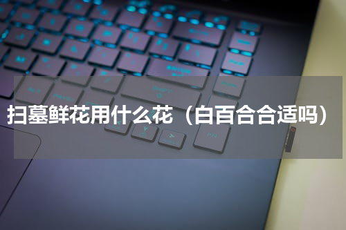 扫墓鲜花用什么花（白百合合适吗）