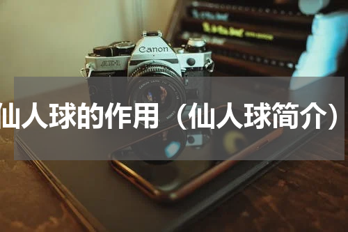 仙人球的作用（仙人球简介）