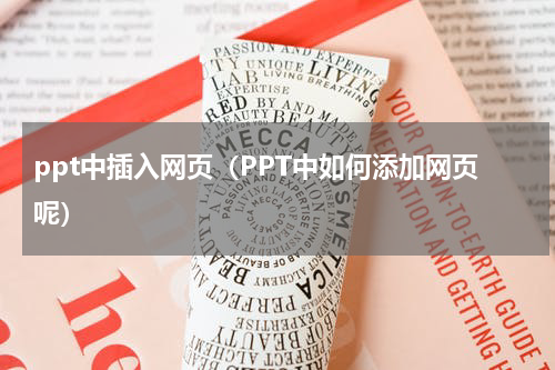 ppt中插入网页（PPT中如何添加网页呢）