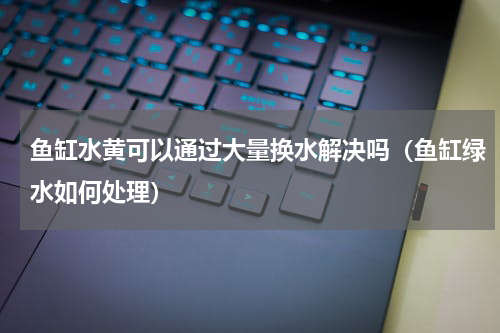 鱼缸水黄可以通过大量换水解决吗（鱼缸绿水如何处理）