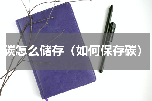 碳怎么储存（如何保存碳）
