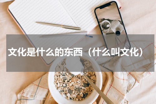 文化是什么的东西（什么叫文化）