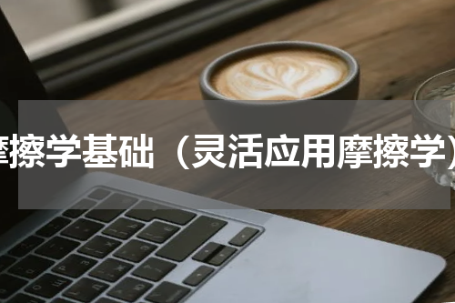 摩擦学基础（灵活应用摩擦学）