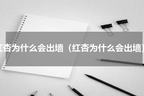 红杏为什么会出墙（红杏为什么会出墙）